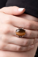 Paparazzi Accessories Enchantingly Everglades - Brown Ring